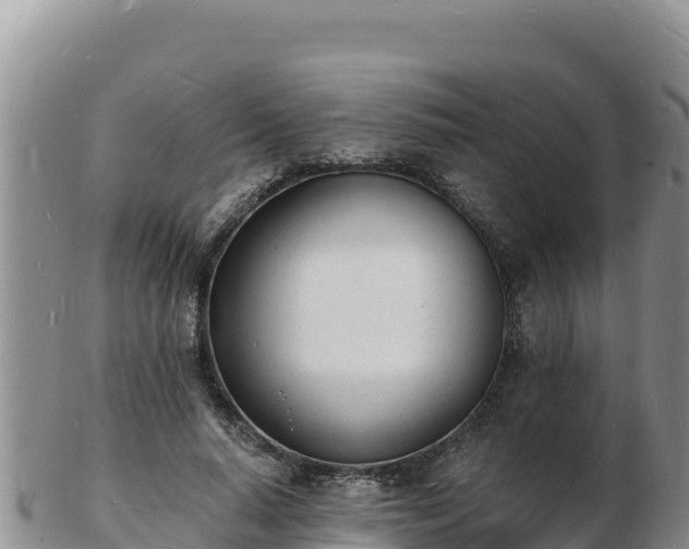 X0000103300640200809051523