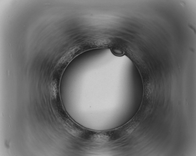 X0000103300644200809051523