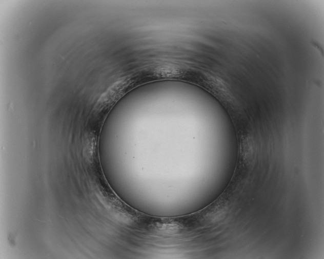 X0000103300645200809051524