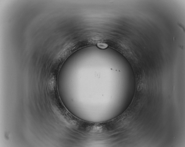 X0000103300647200809051524