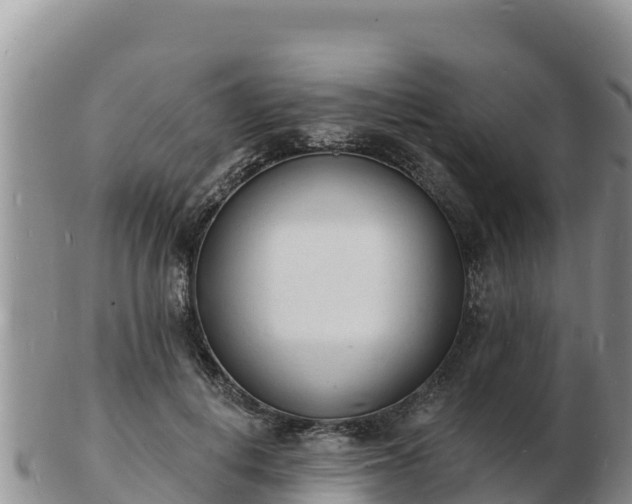 X0000103300648200809051524