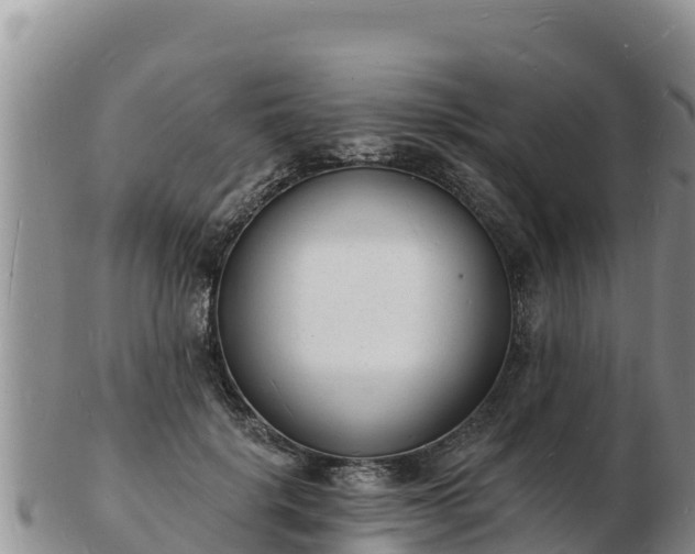 X0000103300652200809051524