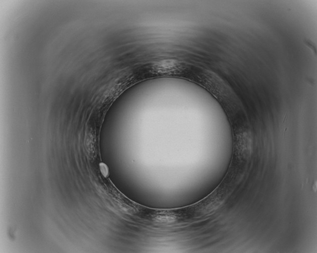 X0000103300653200809051524