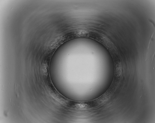 X0000103300654200809051524