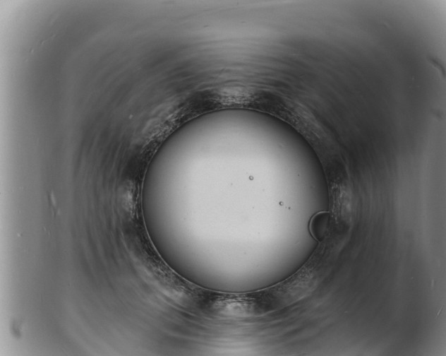 X0000103300655200809051524