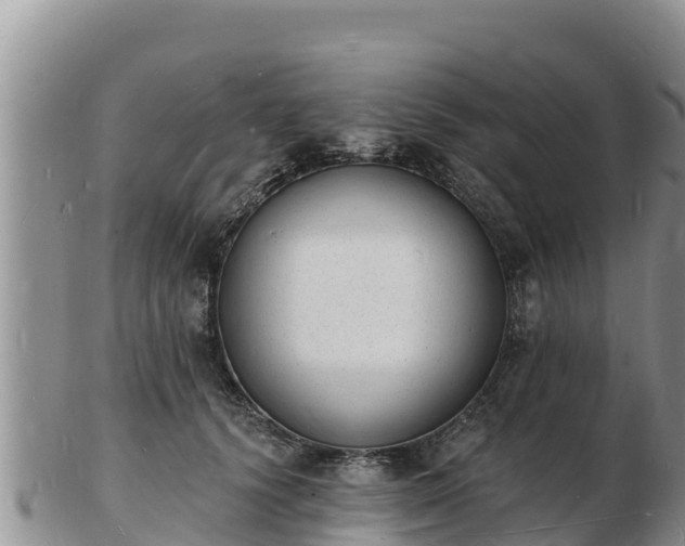 X0000103300656200809051524