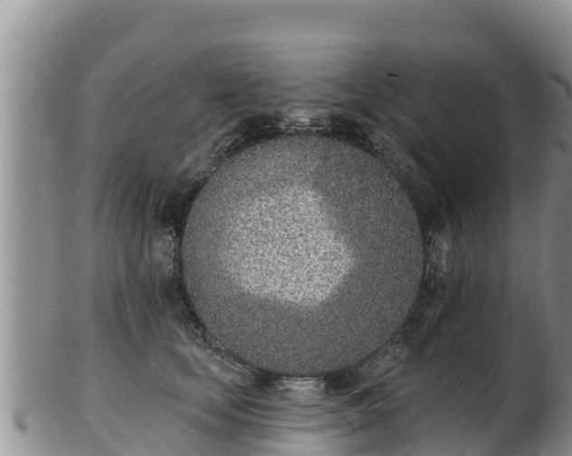 X0000103300659200809051524