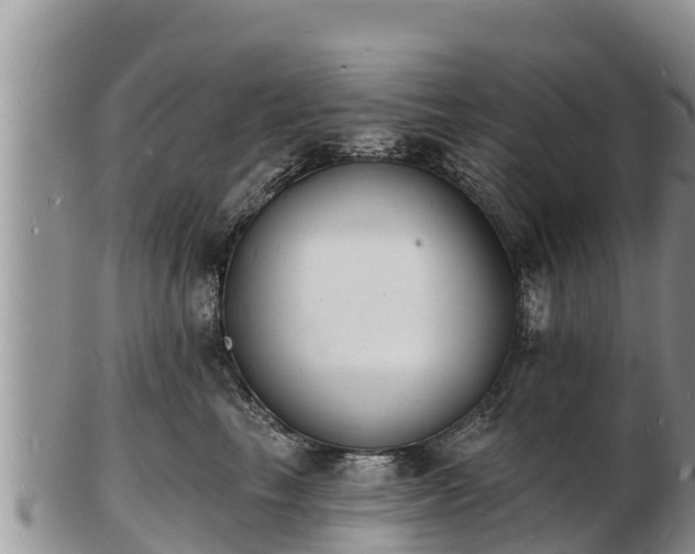 X0000103300665200809051524