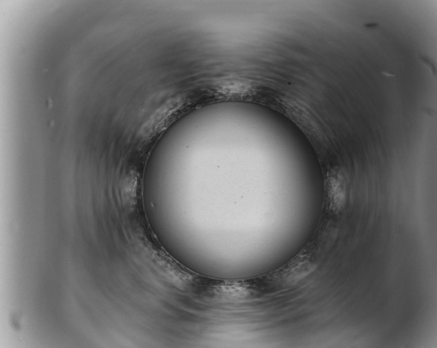 X0000103300668200809051524