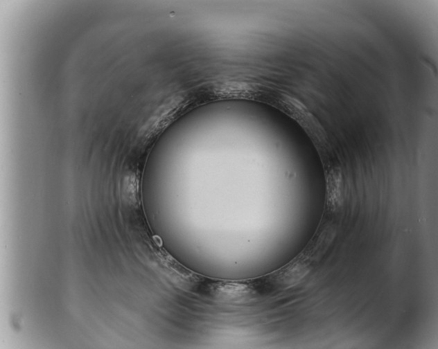 X0000103300669200809051524