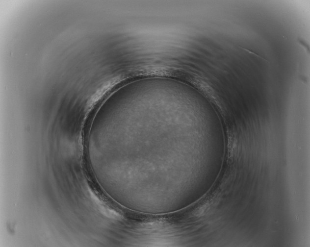 X0000103300674200809051523