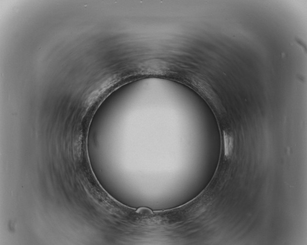 X0000103300675200809051523