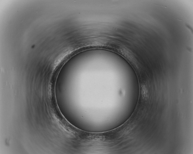 X0000103300676200809051523