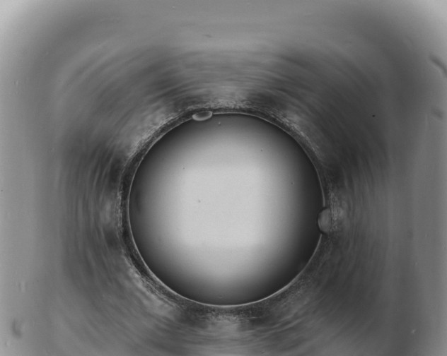 X0000103300677200809051523