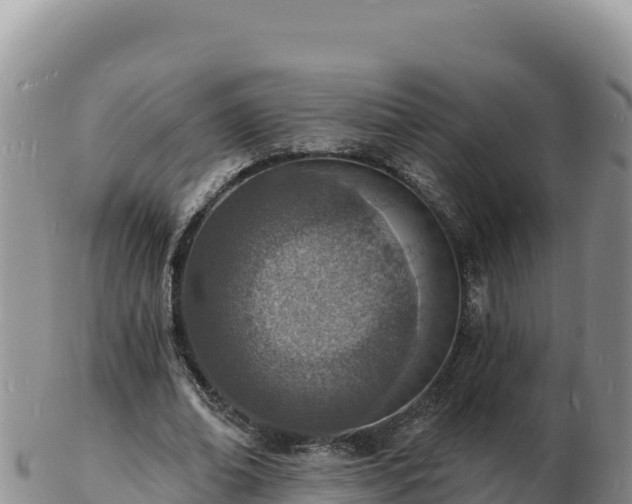 X0000103300678200809051523