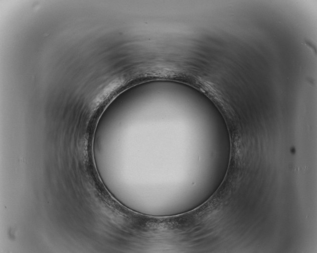 X0000103300679200809051523