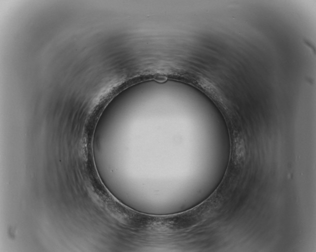 X0000103300680200809051523