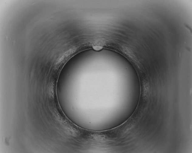 X0000103300681200809051523