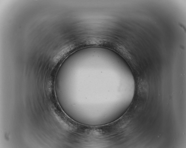 X0000103300683200809051523