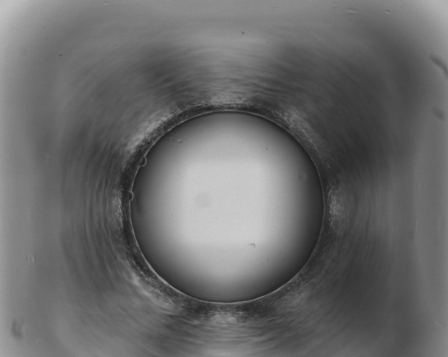 X0000103300684200809051523