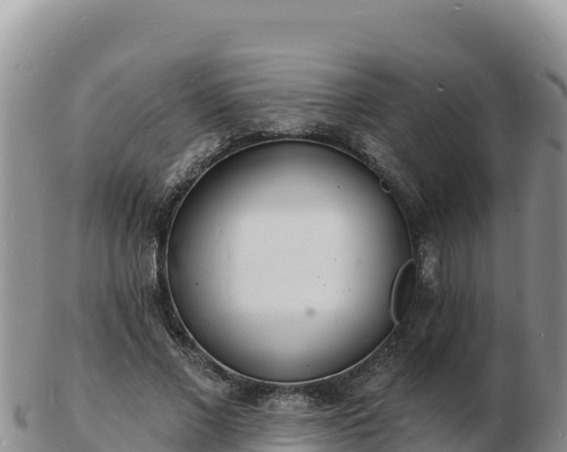 X0000103300685200809051523