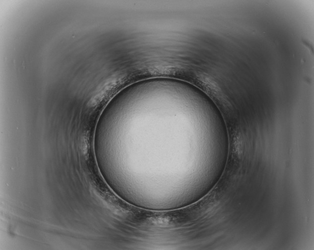 X0000103300687200809051523