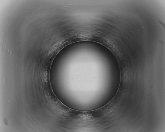 X0000103300689200809051523