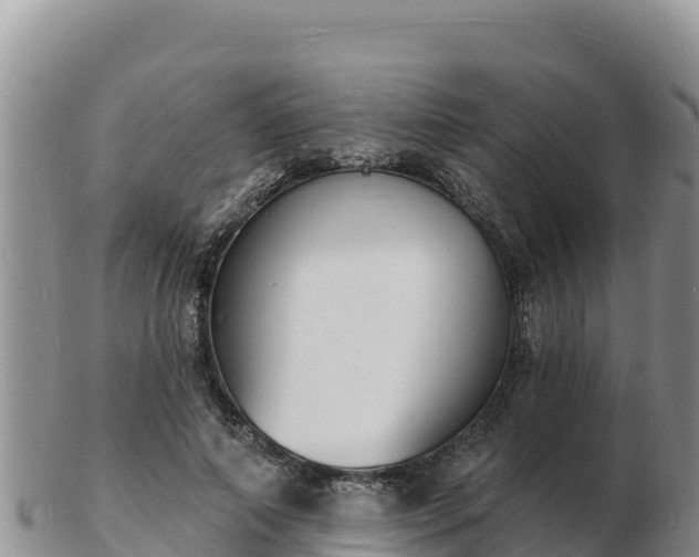 X0000103300690200809051523