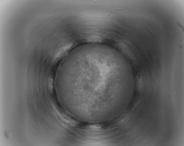 X0000103300692200809051523