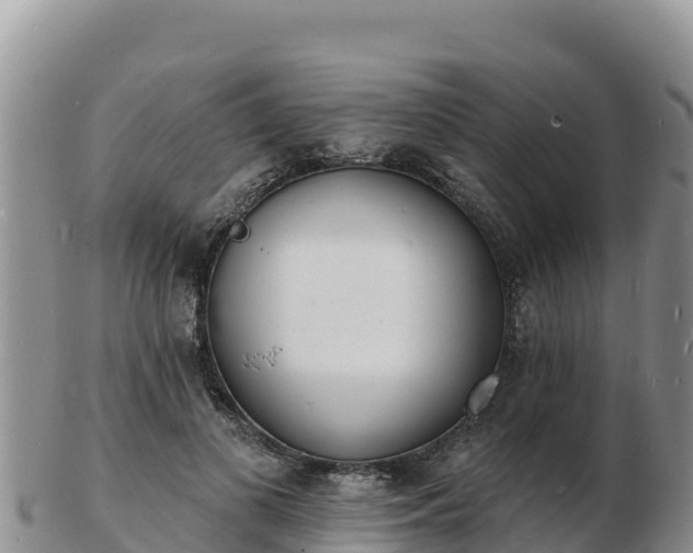 X0000103300693200809051523