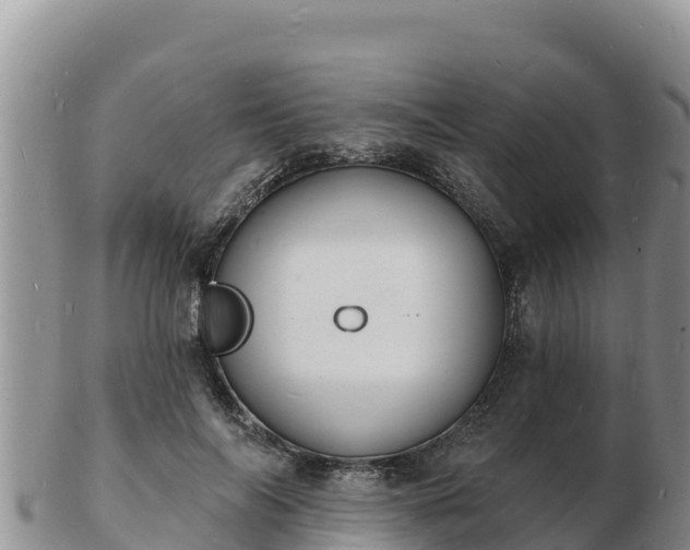 X0000103300694200809051523