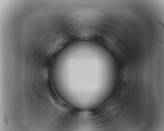 X0000103300695200809051523