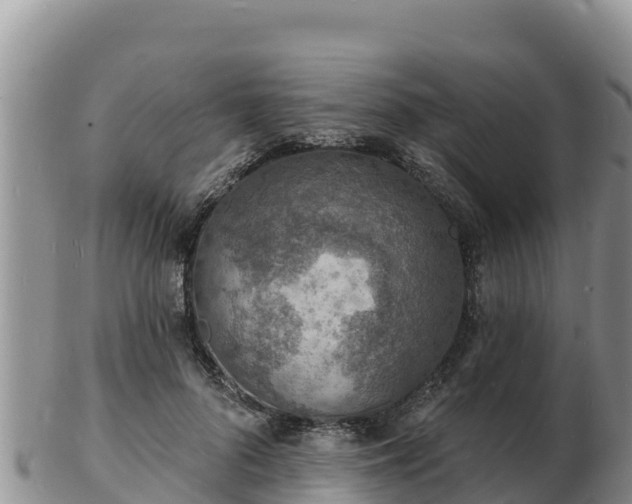 X0000103300696200809051523