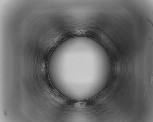 X0000103300700200809051523