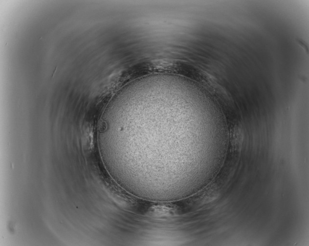 X0000103300703200809051523