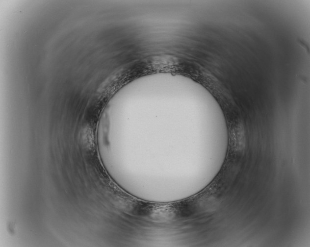 X0000103300705200809051523