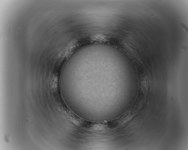 X0000103300708200809051523