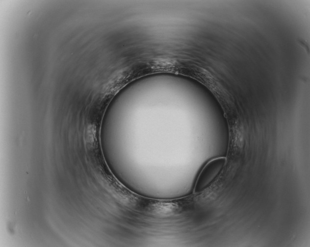 X0000103300711200809051522