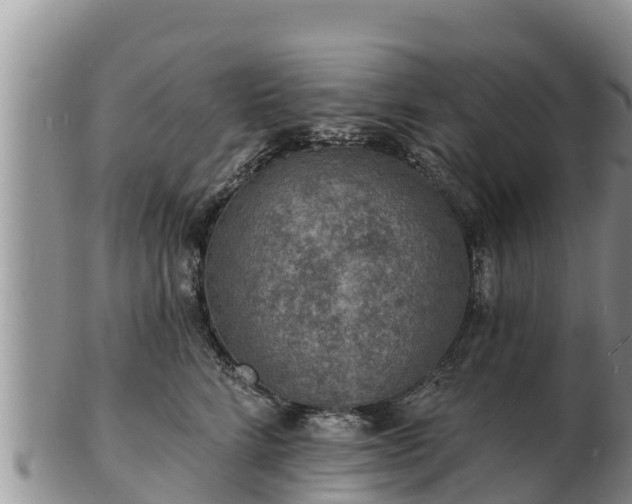 X0000103300712200809051522