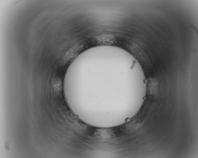 X0000103300713200809051522