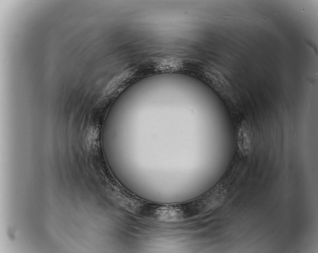 X0000103300714200809051522