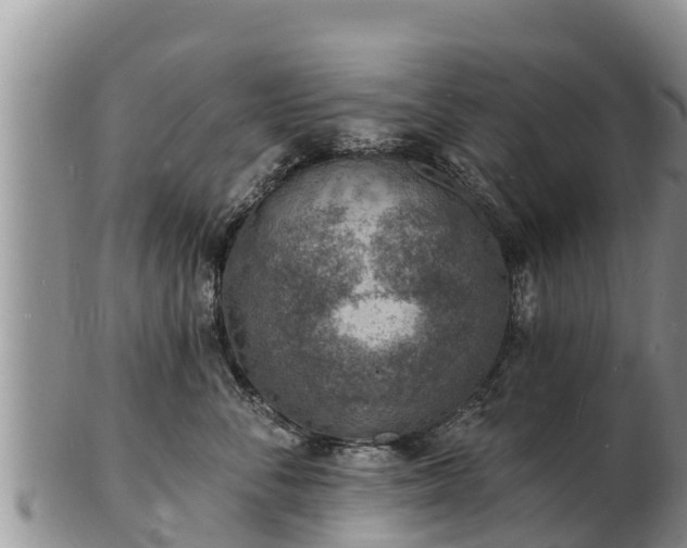 X0000103300716200809051522