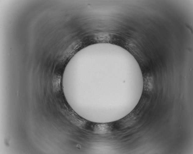 X0000103300717200809051522