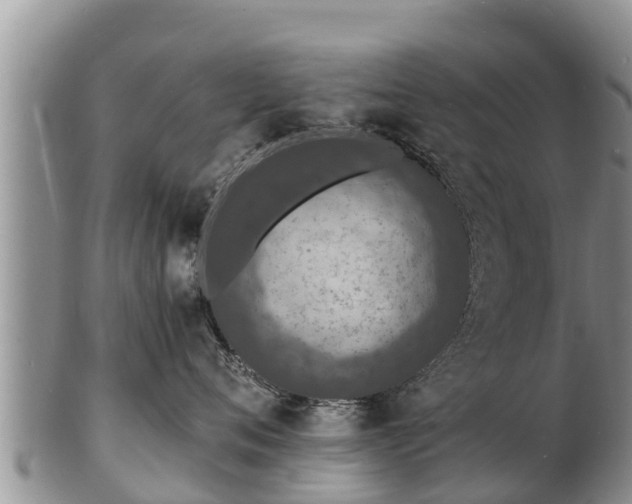 X0000103300720200809051522