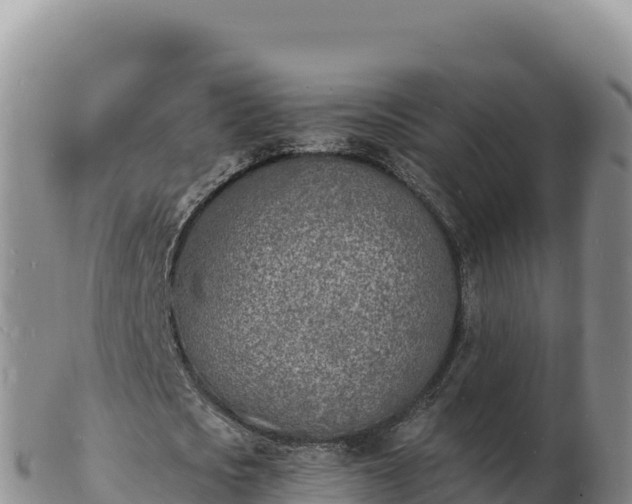 X0000103300721200809051522