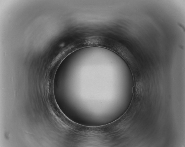 X0000103300722200809051522