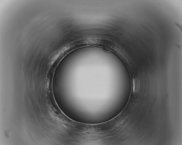 X0000103300723200809051522