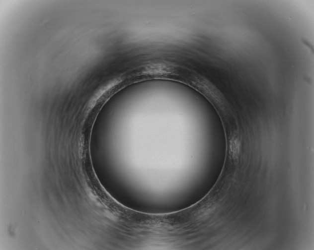 X0000103300724200809051522