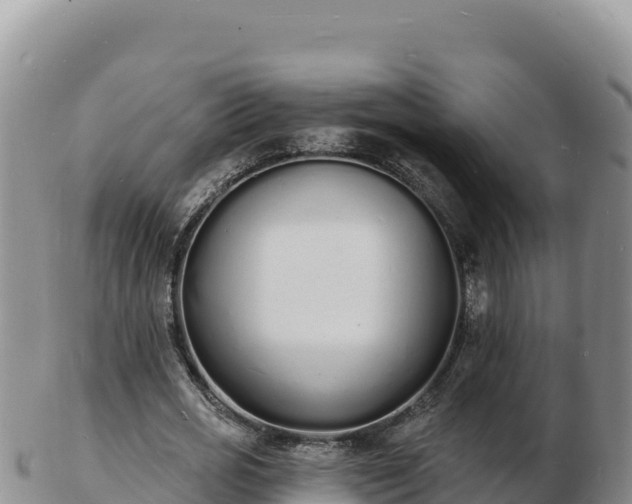 X0000103300725200809051522