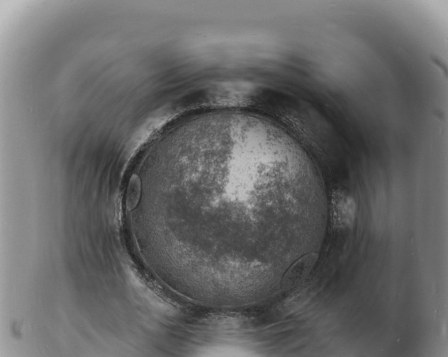 X0000103300726200809051522